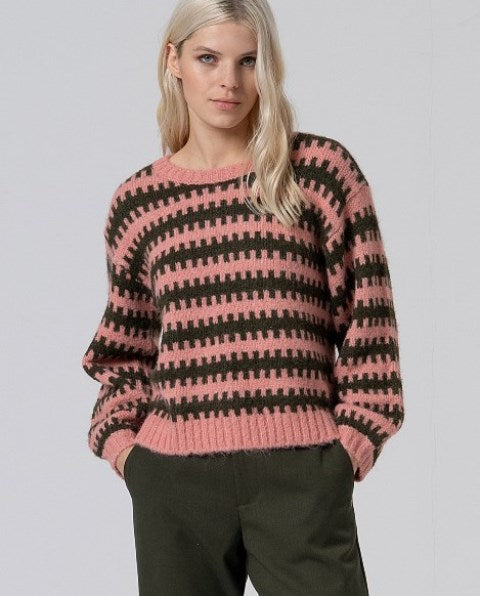 Maglia